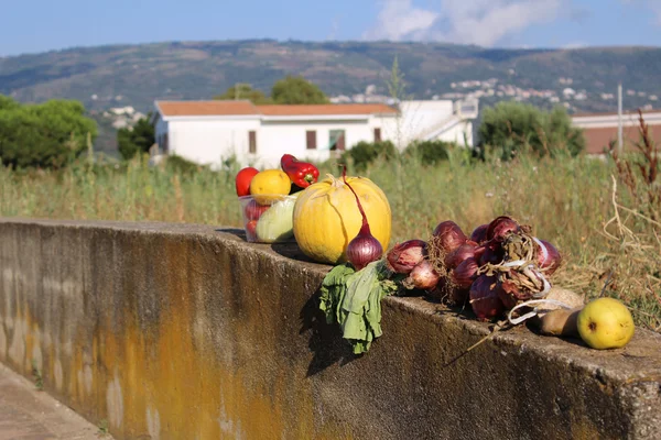 Vegetables on the wall