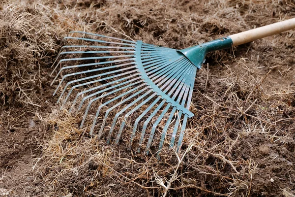 Yard work, preparation soil in garden with rake shoveling dry gr
