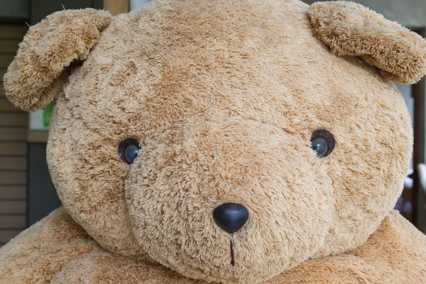 Close-up big doll brown bear fluffy fur
