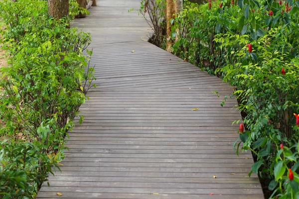 Wooden walkway in green nature garden