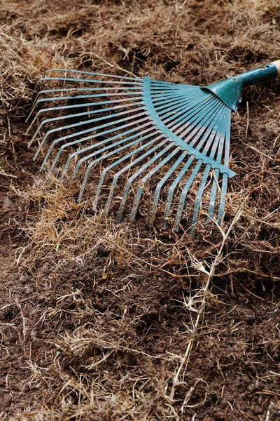 Yard work, preparation soil in garden with rake