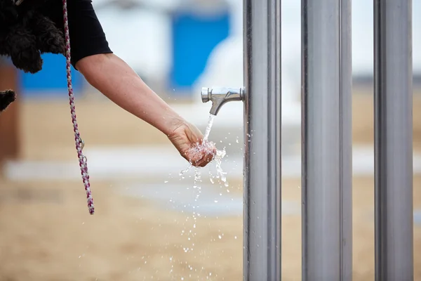 Woman giving dog water to drink from spigot