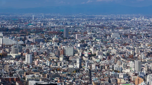 Aerial view of Tokyo city residence area, Japan