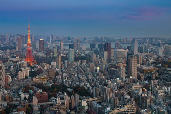 Tokyo city aerial view with Tokyo Tower after sunset, Japan