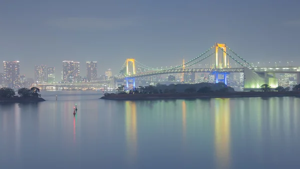 Tokyo skyline with rainbow bridge night view