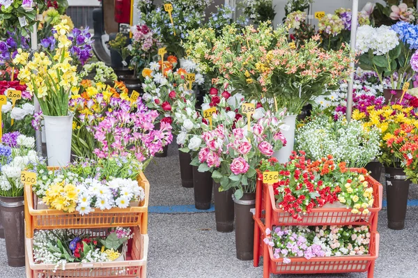 Plastic flowers for sale