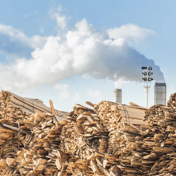 Log and wood piles in industrial timber factory.