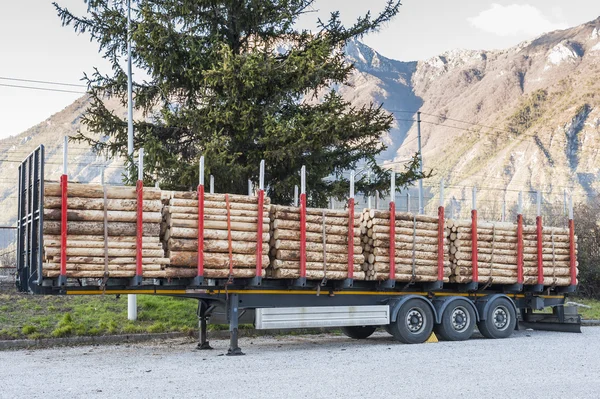 Trucks charged with wood logs waiting for delivery