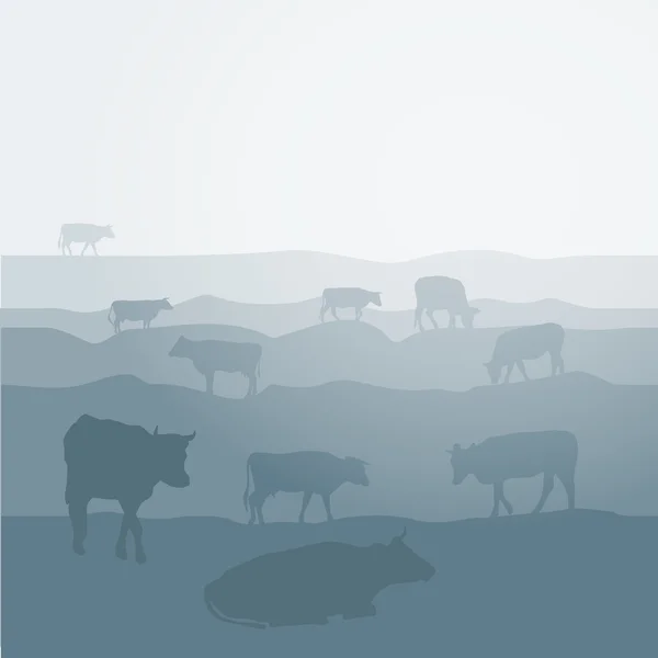 Cows graze in the field, landscape, sky, grass, pasture. Blue, gray silhouette background. Vector