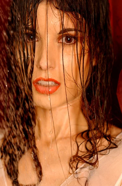 Sexy brunette with wet hair