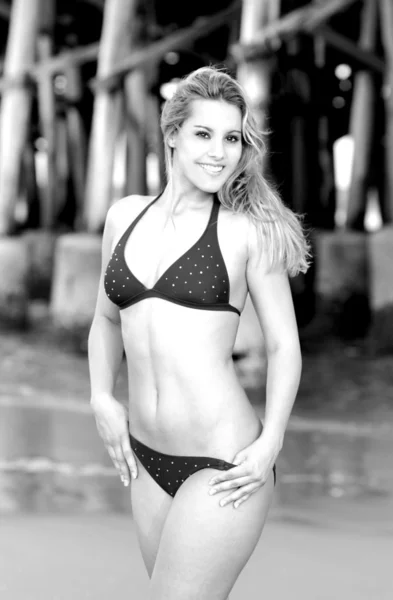 Alluringly Sexy Professional Model Ebony P Does a Swimsuit Shoot On Daytona Beach Florida USA