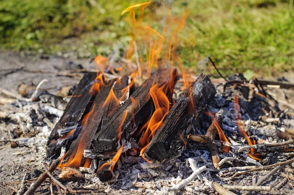 Burning Wood with smoke