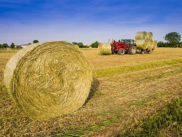 Hay harvesting machine