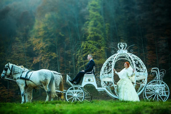 Wedding couple in carriage