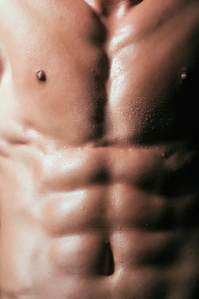 Naked sexy male muscular torso