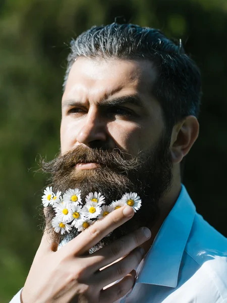 Handsome man with flowers in beard