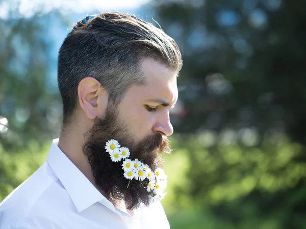 Handsome man with flowers in beard