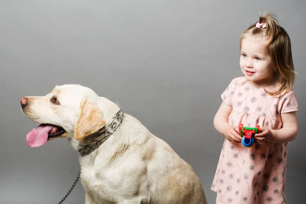 Little girl with labrador dog