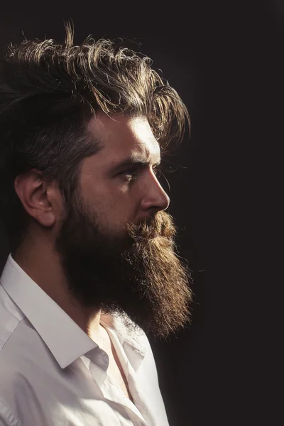 Bearded man in profile