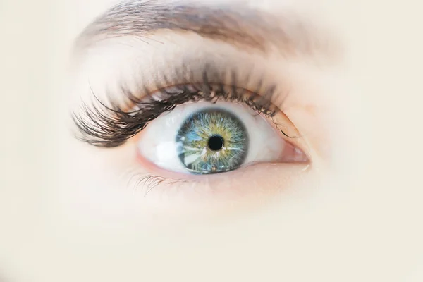 Female green eye with long eyelashes