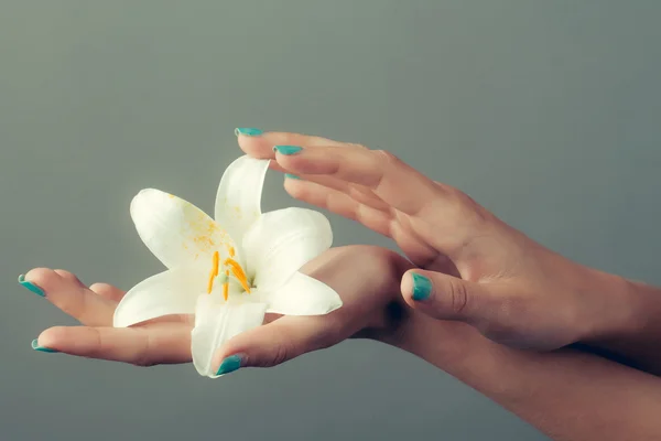 Female hands with white lily