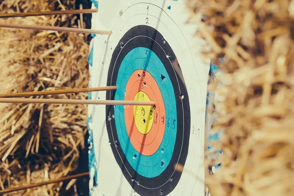 Archery target with arrows