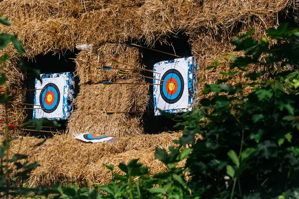 Archery targets with arrows