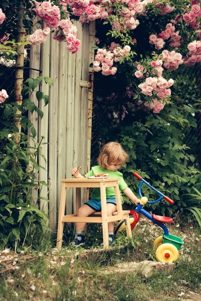 Small boy eating near rose bush