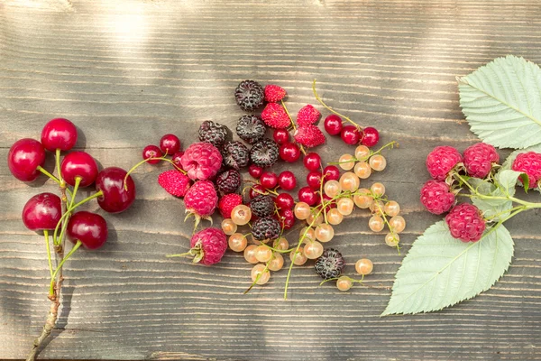 Wild berries on wooden background