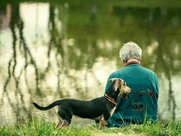 Old man with dog near water