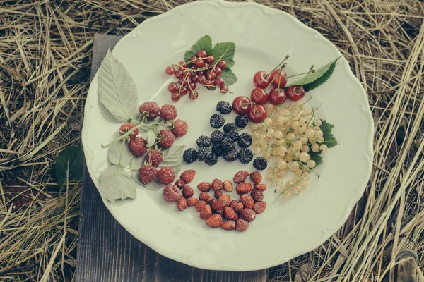Wild berries on plate and straw
