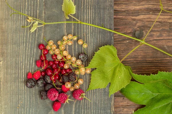 Wild berries on wooden background