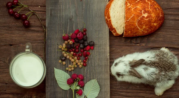 Rabbit or hare with wild berries and milk