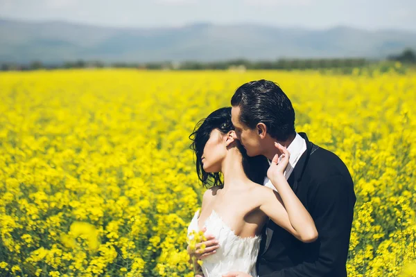 Wedding couple in field yellow flowers