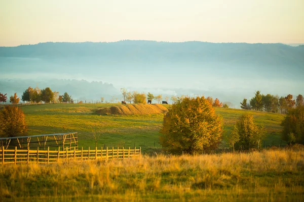 Peaceful sunny autumn country scene