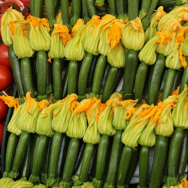 Regular zucchinis  with yellow flowers