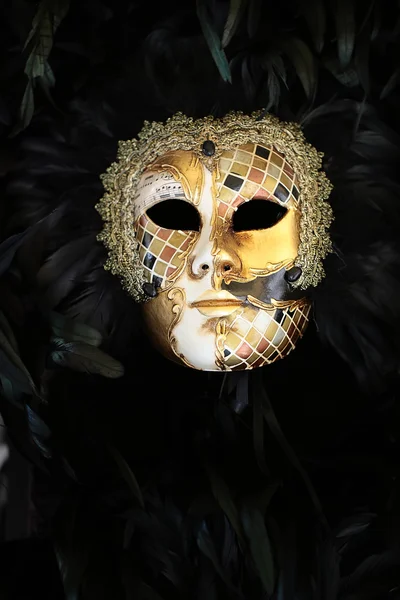 Venetian carnival mask with feather