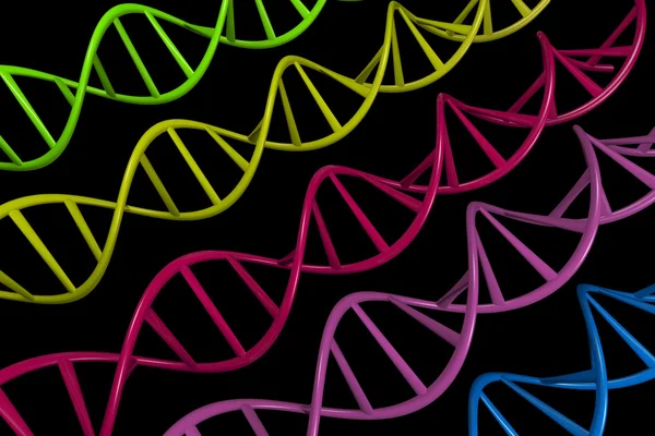 3D Rendering DNA Strands