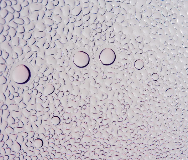 Close up drop of water in bottle