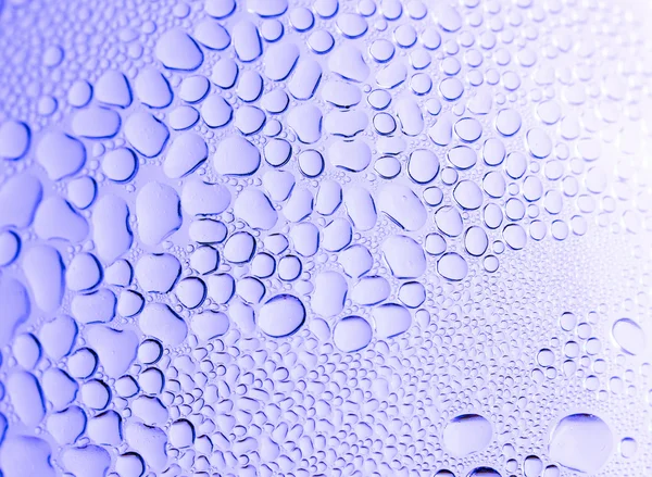 Close up drop of water in bottle with backlight effect