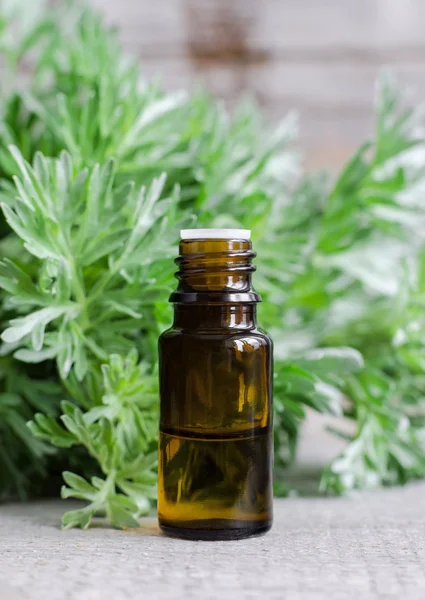 Small bottle of essential wormwood oil (herbal tincture, infusion, oil)