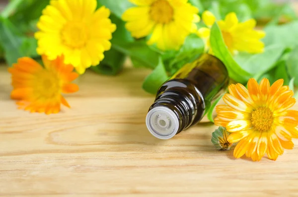 Small bottle of calendula oil (Pot marigold extract, tincture, infusion)