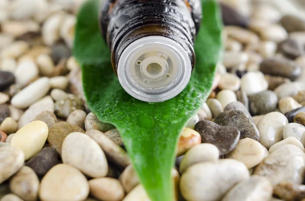 Small bottle of essential oil. Dropper tip insert close up. Bottle and stone background with water drops.