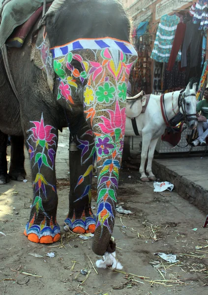 Indian painted elephant