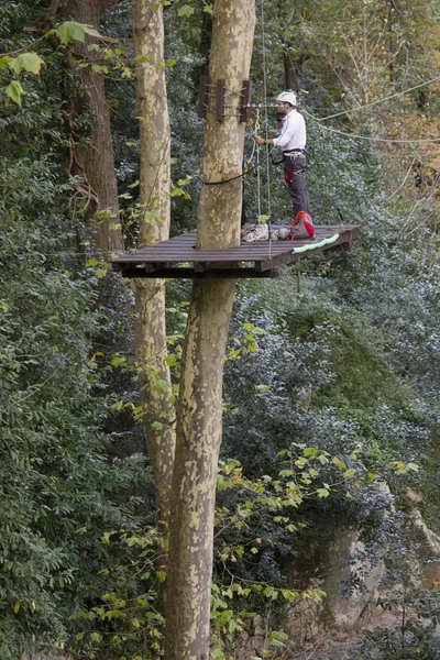 Man on an elevated platform at work cleaning a tall tree