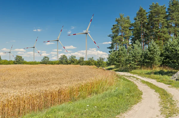 Countryside landscape with ripening wheat and wind turbine for production of electricity
