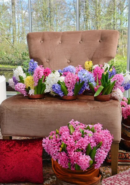 Armchair in flowers hyacinth (interior room, especially furnitur
