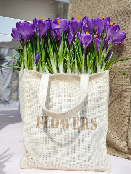 Flowers crocuses in the bag with the inscription \
