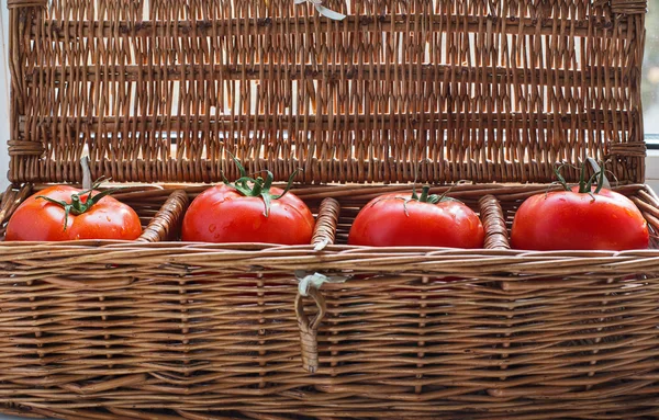 Four tomatoes with dew lying in wicker box