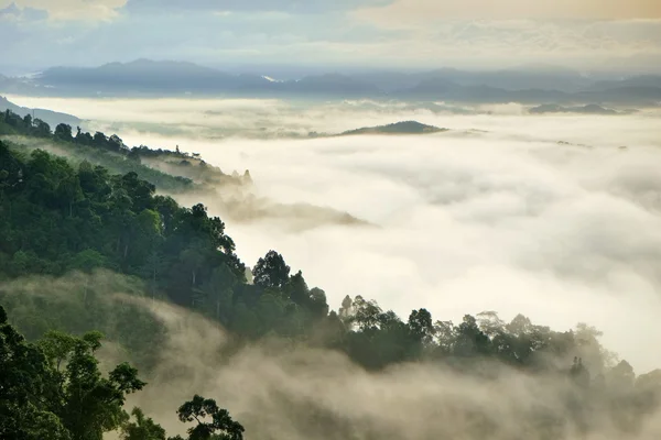 Fog on mountain